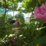 Laura 公寓 Stara Baška