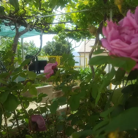 Laura דירה Stara Baška